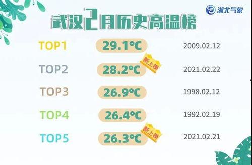 极目新闻爆料微信号,揭秘背后真相，聚焦社会热点