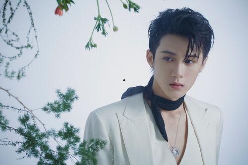 微博爆料檀健次事件视频,真相与争议交织的娱乐圈风云